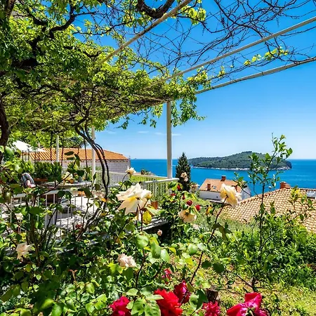 Rose Guest house 3*