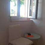 Rose 3* Dubrovník
