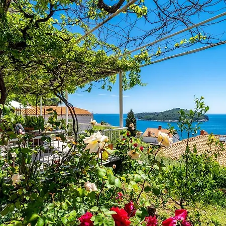 Rose Pensionat 3*