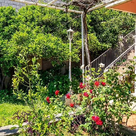 Pensionat Rose Dubrovnik